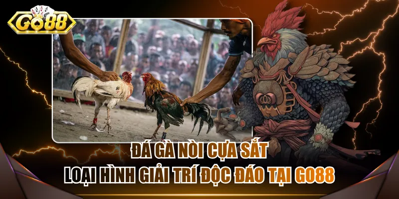 Đá gà nòi cựa sắt