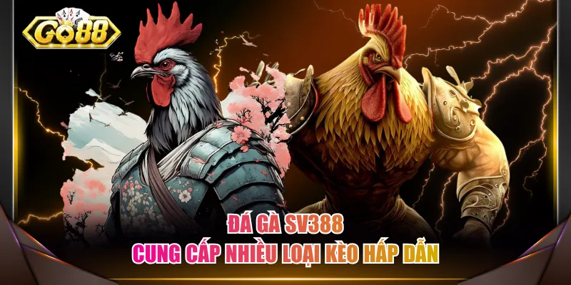 Đá gà SV388 cung cấp nhiều loại kèo hấp dẫn