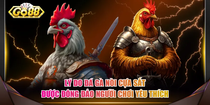 Lý do đá gà nòi cựa sắt được đông đảo người chơi yêu thích