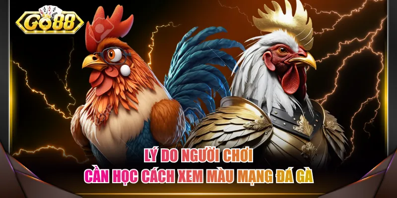 Lý do người chơi cần học cách xem màu mạng đá gà 