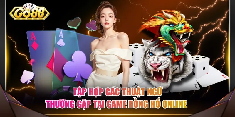 Tập hợp các thuật ngữ thường gặp tại game Rồng Hổ online 
