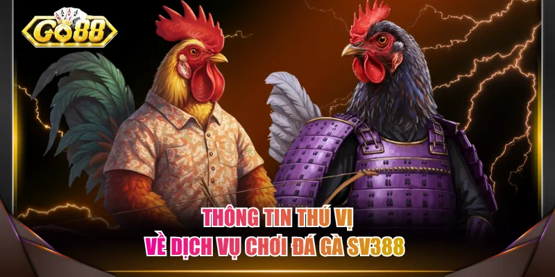 Thông tin thú vị về dịch vụ chơi đá gà SV388 
