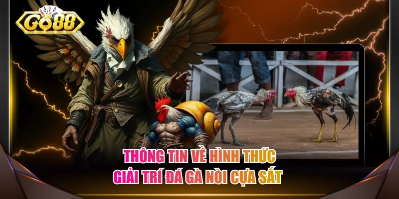 Thông tin về hình thức giải trí đá gà nòi cựa sắt 