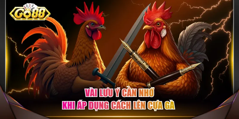 Vài lưu ý cần nhớ khi áp dụng cách lên cựa gà 